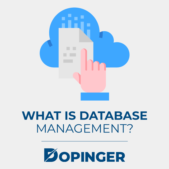 what is database management