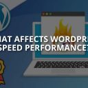 What Affects WordPress Speed Performance?
