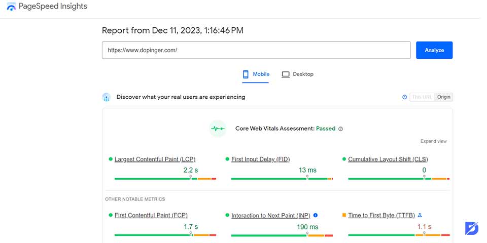 PageSpeed Insights test tool