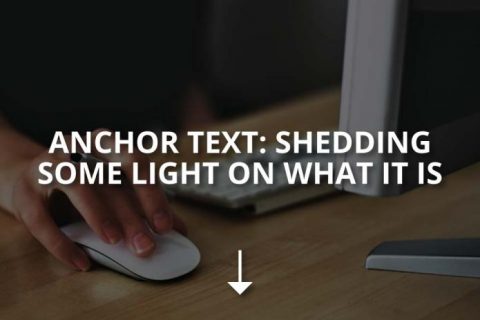Anchor Text: Shedding Some Light on What Is It