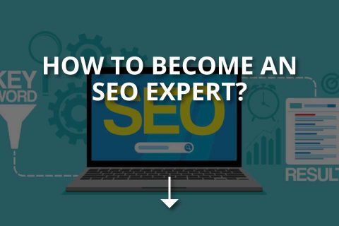 How to Become an SEO Expert? (+Tips)