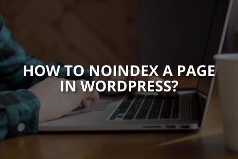 How to Noindex a Page in WordPress?