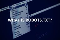 What is Robots.txt (+Including Example Codes)