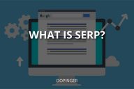 What is SERP? (+How to do a proper SERP Analysis?)