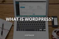 What Is WordPress? (WP For Beginners)