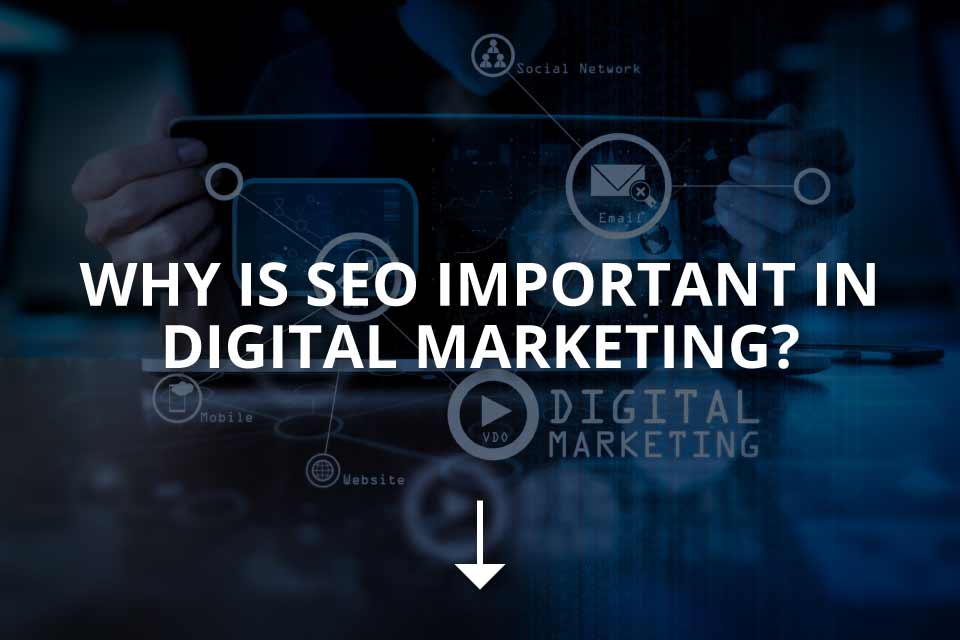 Seo Tampa