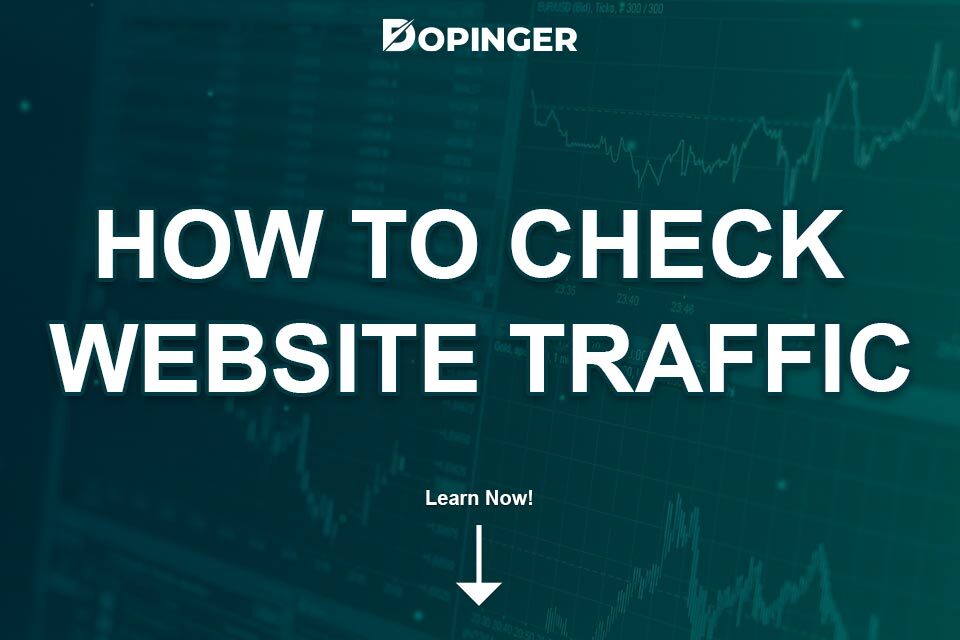 check your site popularity