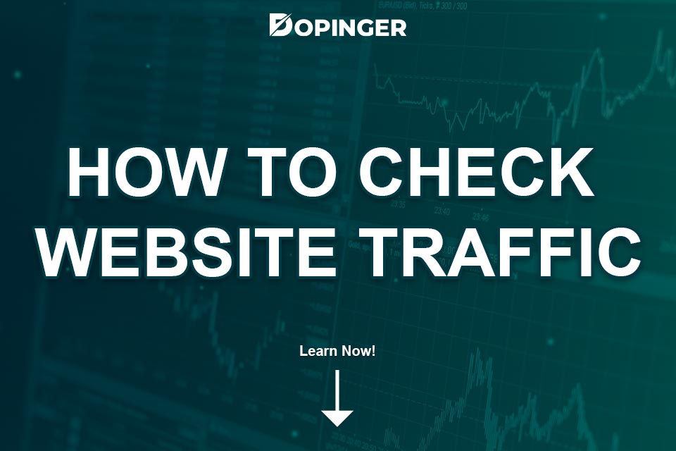 check website traffic and ranking