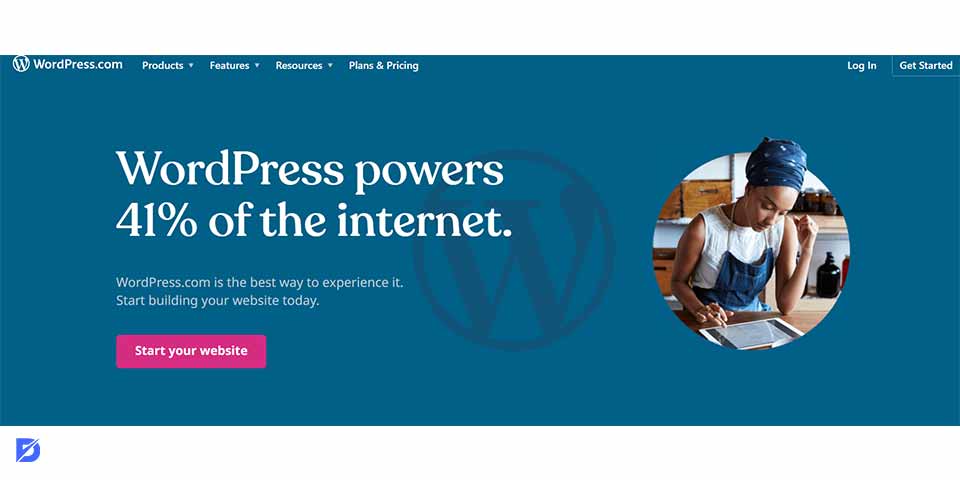 WordPress cms