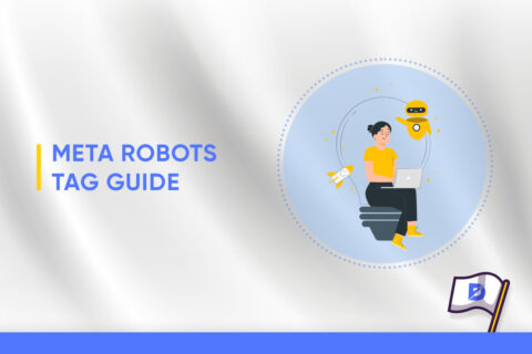 Meta Robots Tag Guide