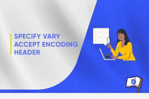 Specify a Vary Accept-Encoding Header Error