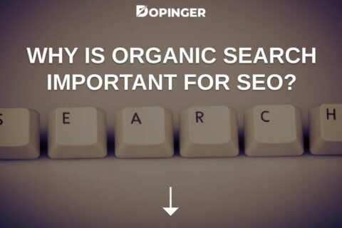 Why Is Organic Search Important For SEO?