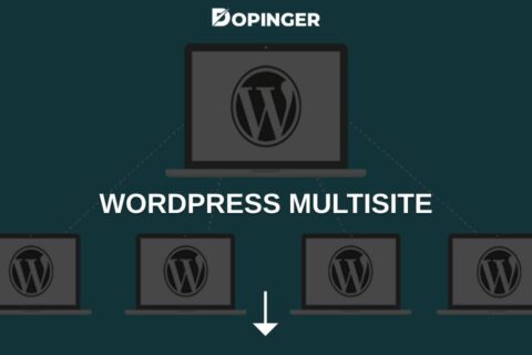 WordPress Multisite: All You Need to Know