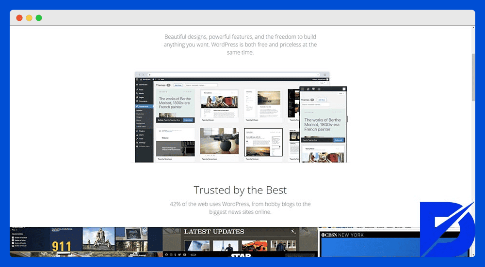 advantages of wordpress.org