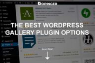 The Best WordPress Gallery Plugin Options