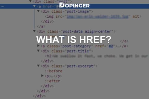 What Are href Links? How Does It Work?