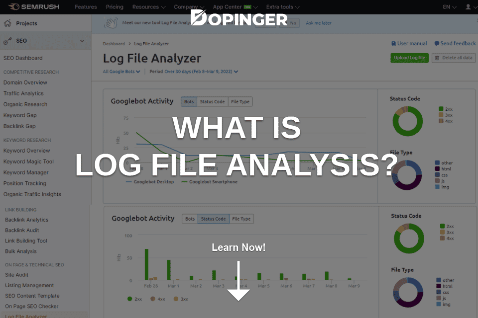 What Is Log File Analysis & Its Relation to SEO?