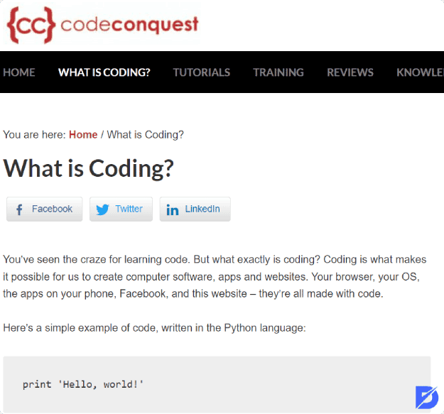coding classes Code Conquest