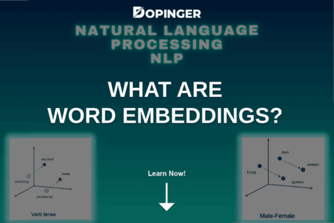 What Are Word Embeddings Or Word Vectors?