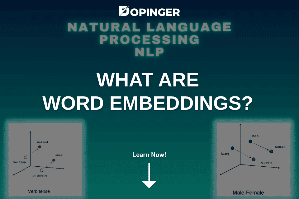 What Are Word Embeddings Or Word Vectors?