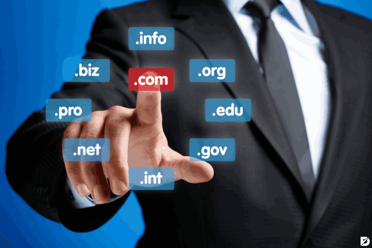 Domain Names