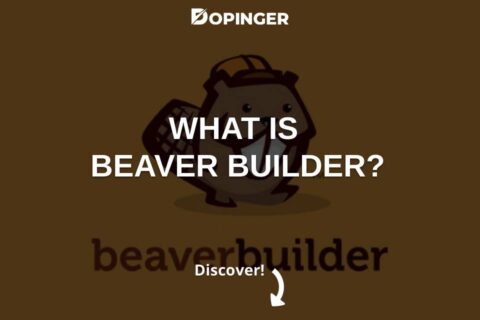 What Is Beaver Builder?