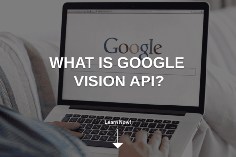What Is Google Vision API