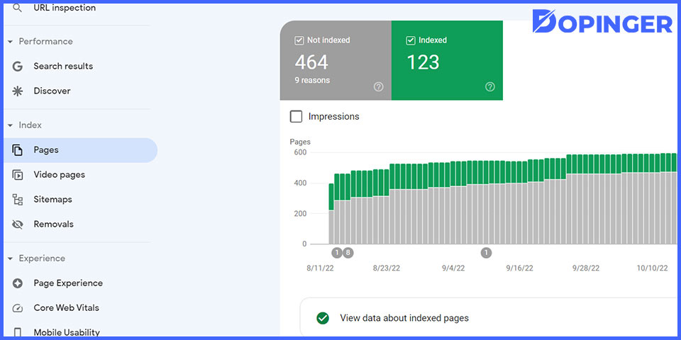 google search console index report