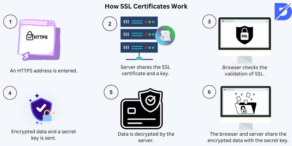 how SSL certificate works