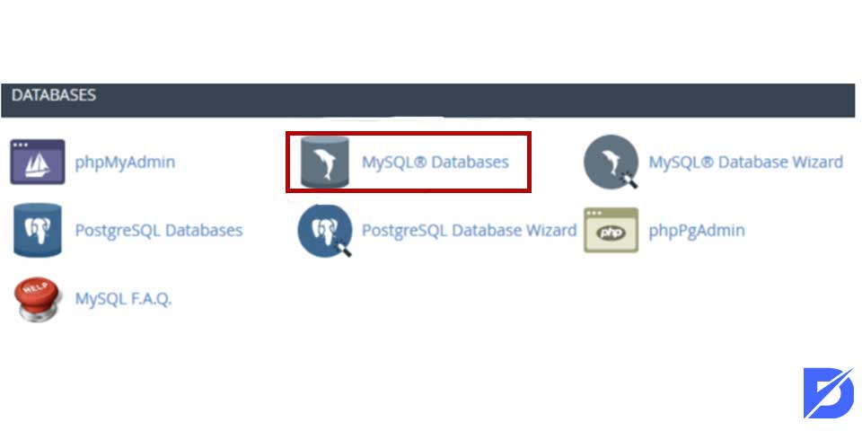 MySQL Databases