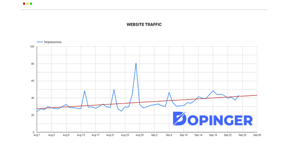 website traffic report