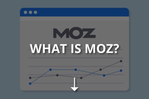 What Is Moz? (Features & How to Use It?)