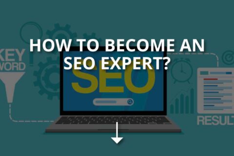 How to Become an SEO Expert? (+Tips)