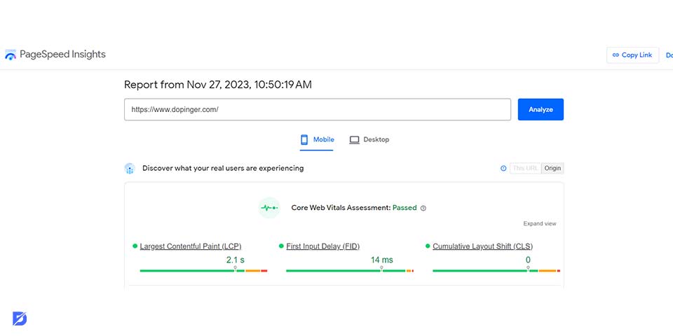 Google PageSpeed Insights score