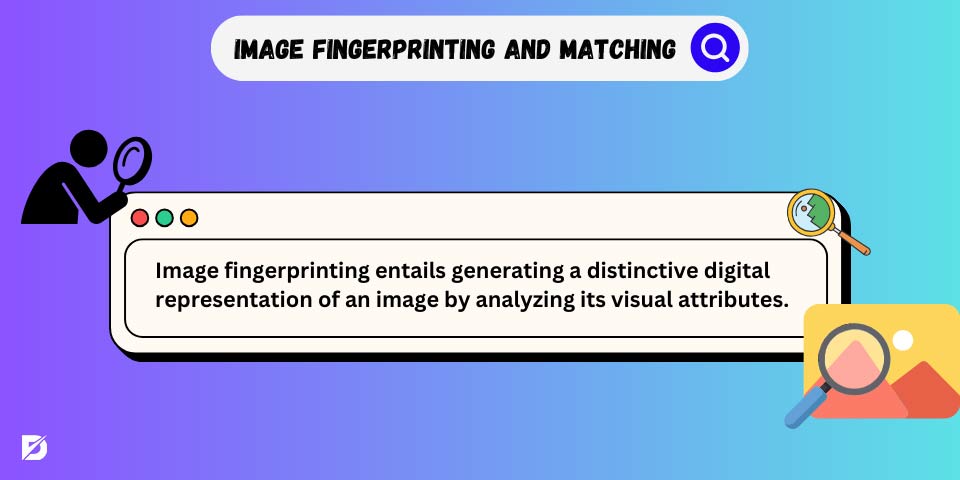 image fingerprinting and matching