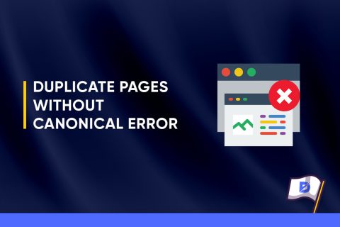Duplicate Pages Without Canonical Error in Technical SEO 