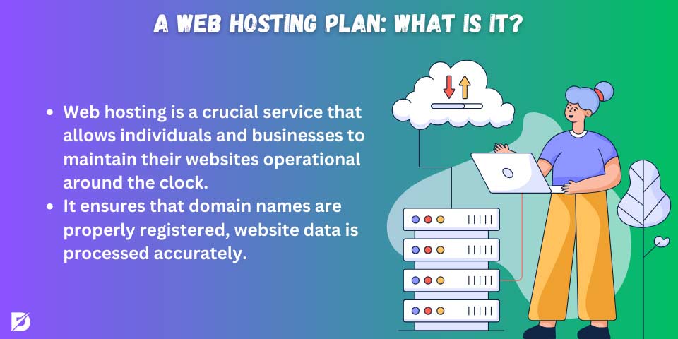 a web hosting plan