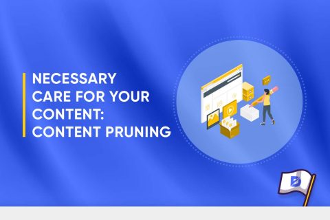 What Is Content Pruning? 