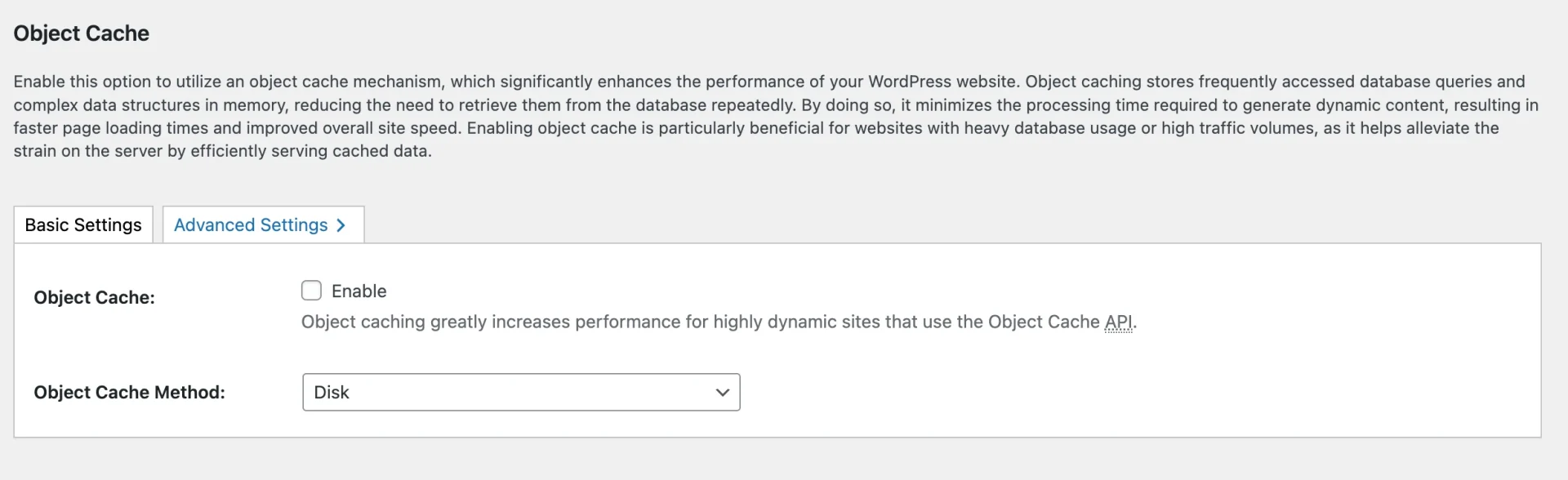 Object Cache