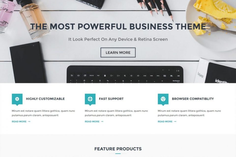 Flash WordPress Theme