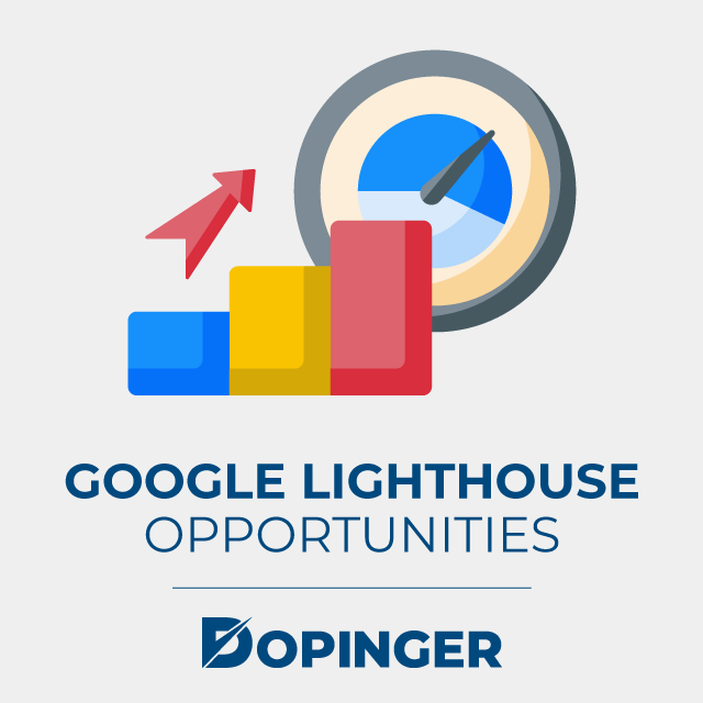 What are Google Lighthouse Opportunities