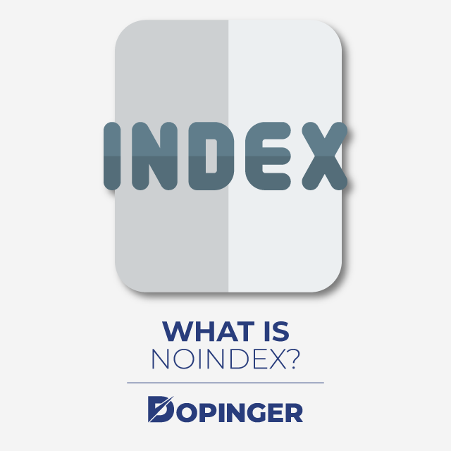 What Is Noindex
