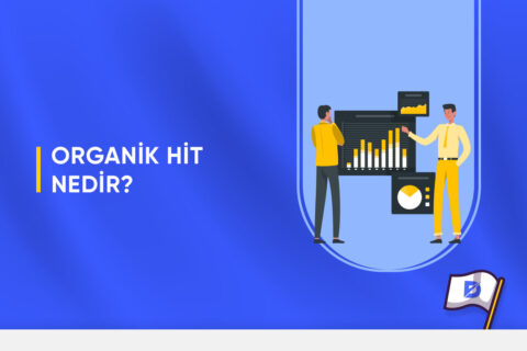 Organik Hit Nedir?