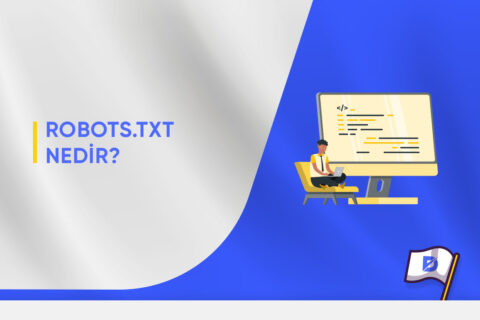 Robots.txt Nedir?