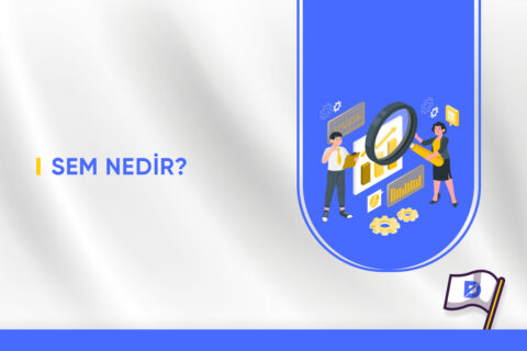 SEM Nedir?