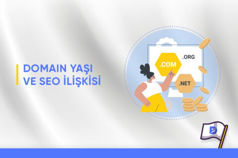 Domain Yaşının SEO’ya Etkisi Nedir?