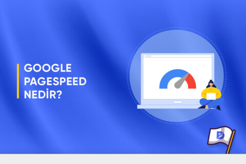 Google PageSpeed Nasıl Kullanılır?