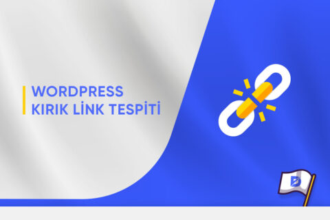 WordPress Kırık Link Tespiti Nasıl Yapılır?