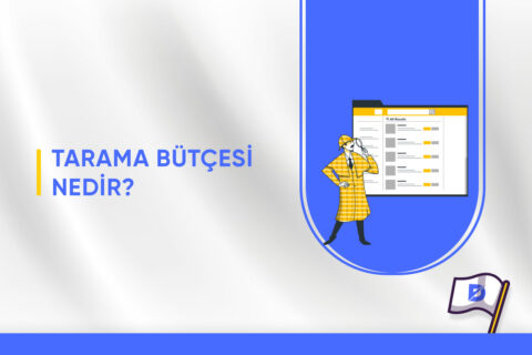 Tarama Bütçesi Nedir?