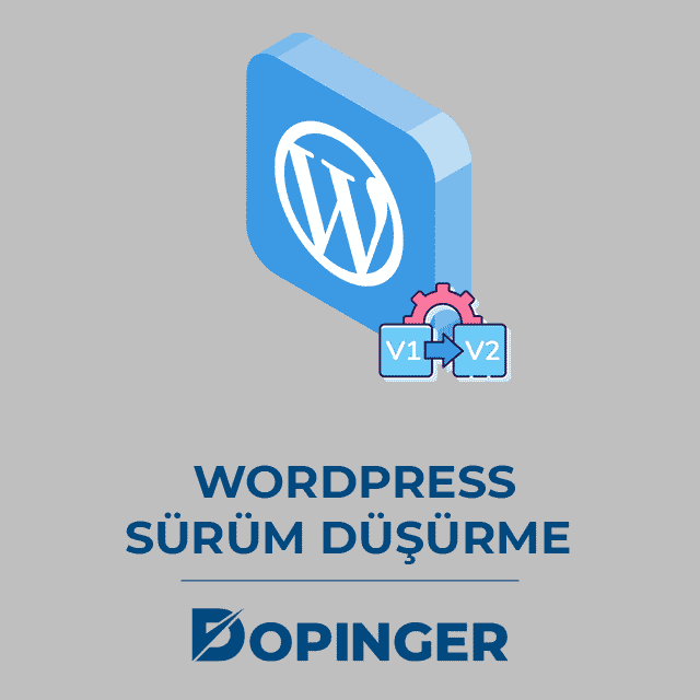 WordPress Sürüm Düşürme Nasıl Yapılır? 